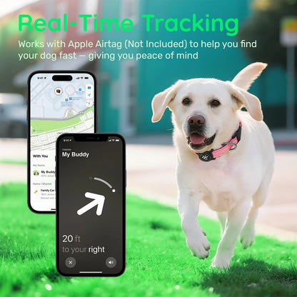 Taakcc Reflective Dog Collar with Luminous Airtag Holder, Waterproof Soft Padded & Safety Buckle