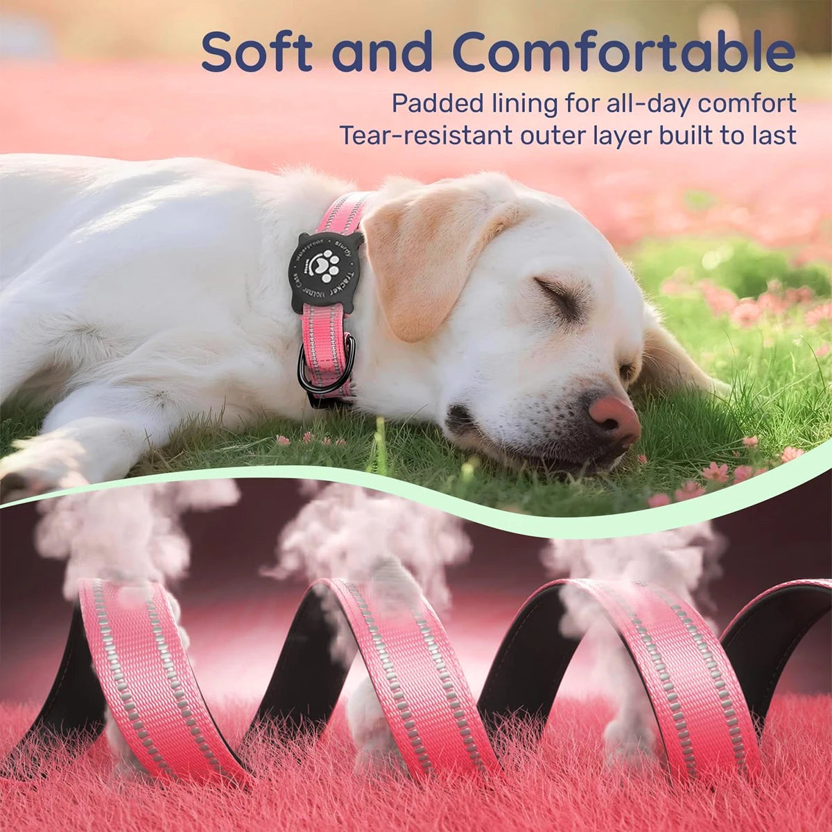 Taakcc Reflective Dog Collar with Luminous Airtag Holder, Waterproof Soft Padded & Safety Buckle